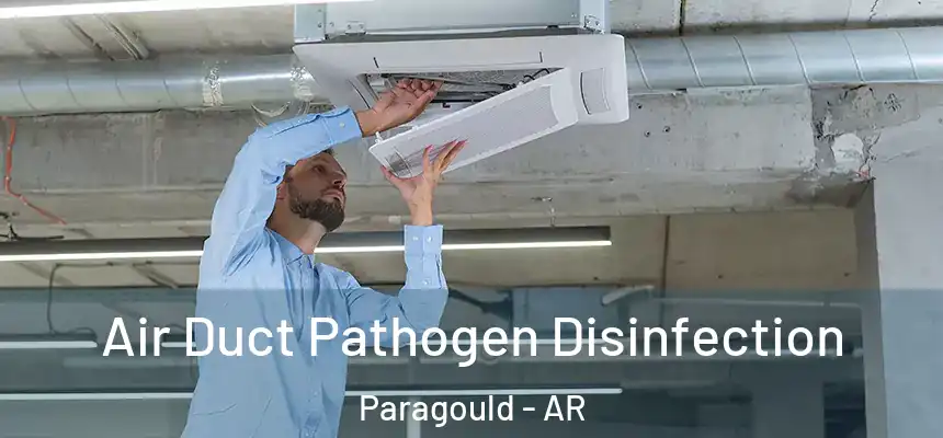  Air Duct Pathogen Disinfection Paragould - AR