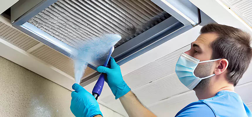 Proactive Dryer Vent & Auxiliary Duct Pollen Cleanup in Paragould, AR