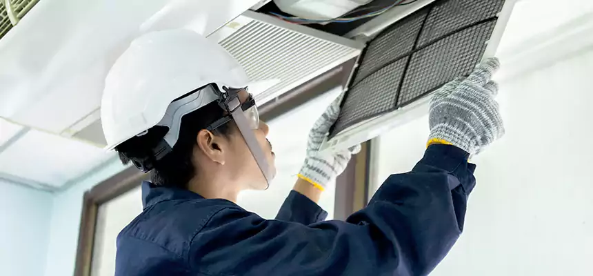 Our Mold & Mildew Removal from Air Ducts Services in Paragould, AR