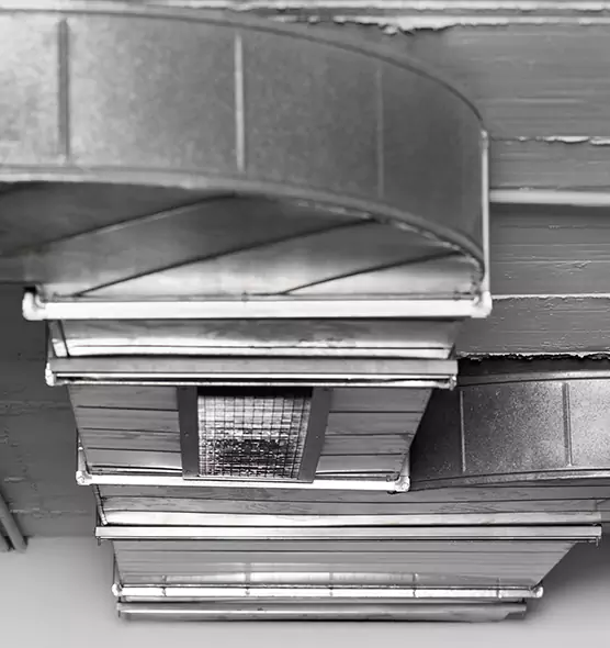 Professional Air Duct Pest Removal in Paragould, AR