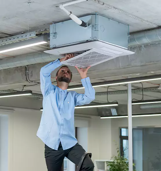 Advanced Rodent Droppings In Vents in Paragould, AR