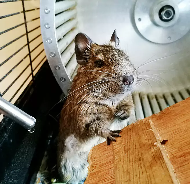 Why Homeowners & Businesses Trust Us Paragould, AR