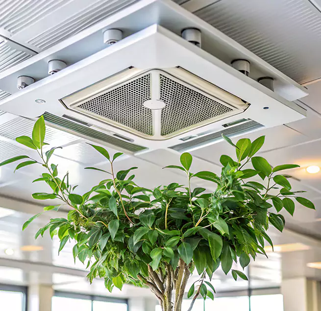 Why Homeowners & Businesses Trust Us in Paragould, AR