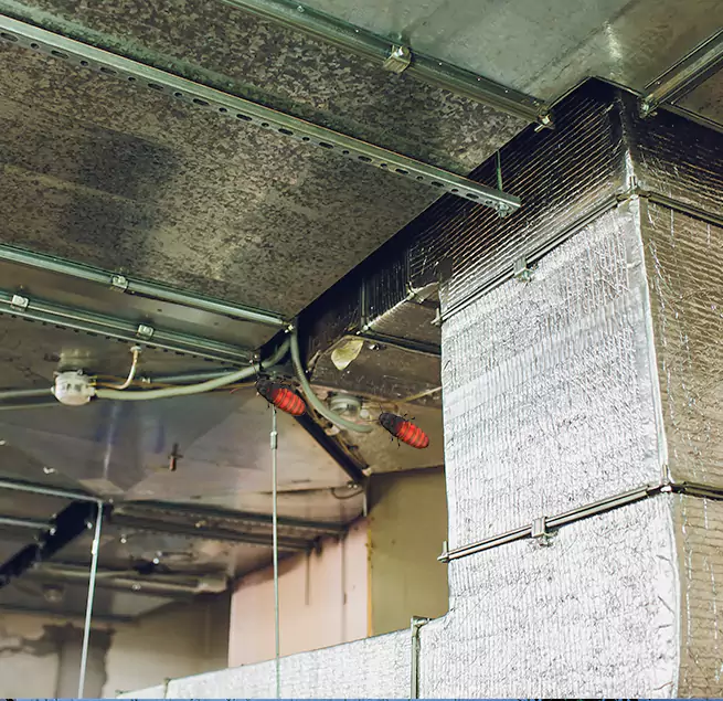 Why Homeowners & Businesses Trust Us Paragould, AR?