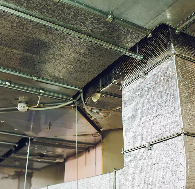 Why Homeowners & Businesses Trust Us in Paragould, AR?